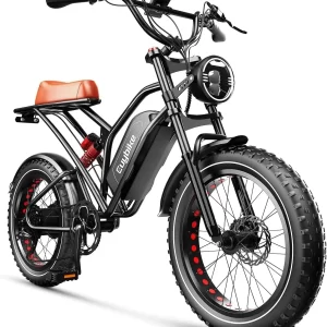 ebike, bicicleta eléctrica 1000w